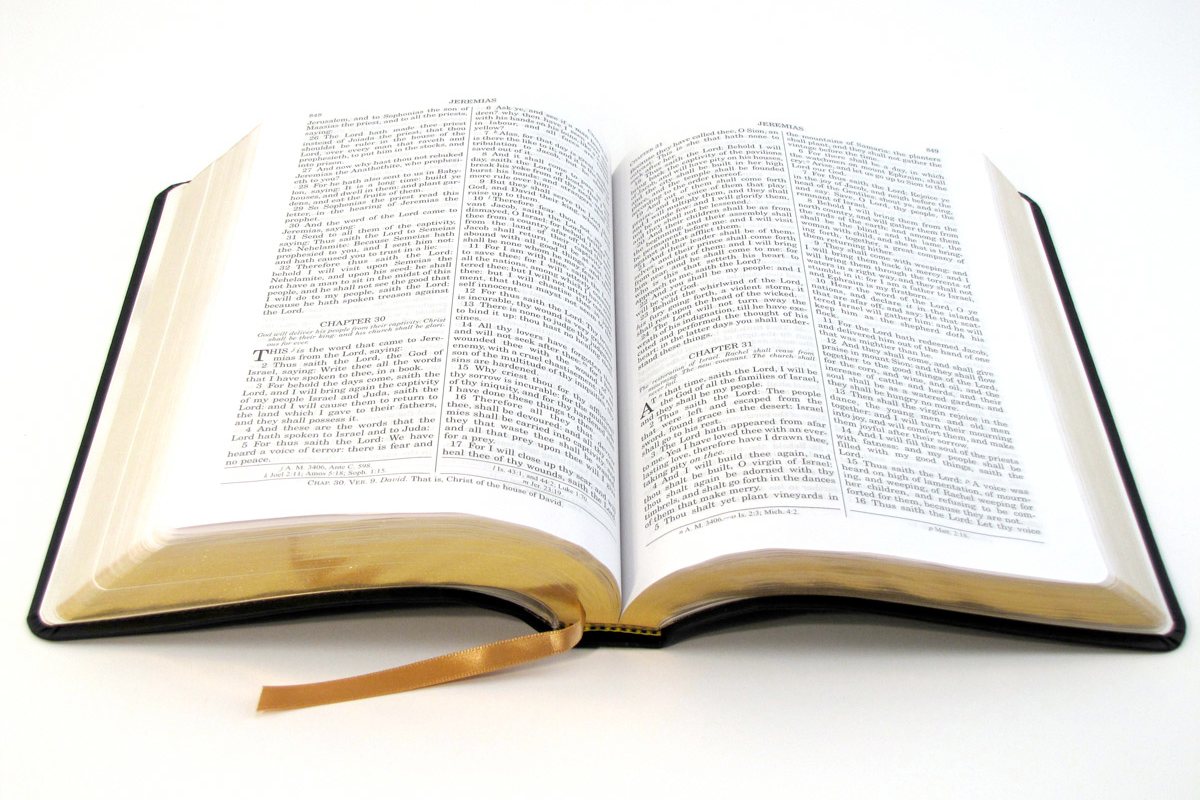 ¿Abrumado por lo grande que es la Biblia?